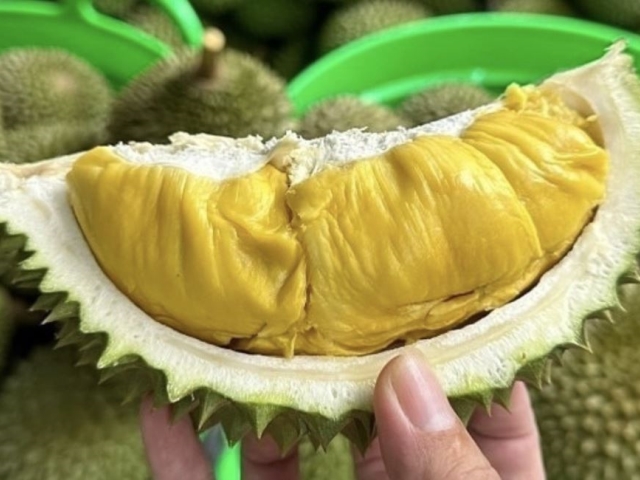 買榴槤別再盲選 徐邦浩：三招選出頂級A級品！